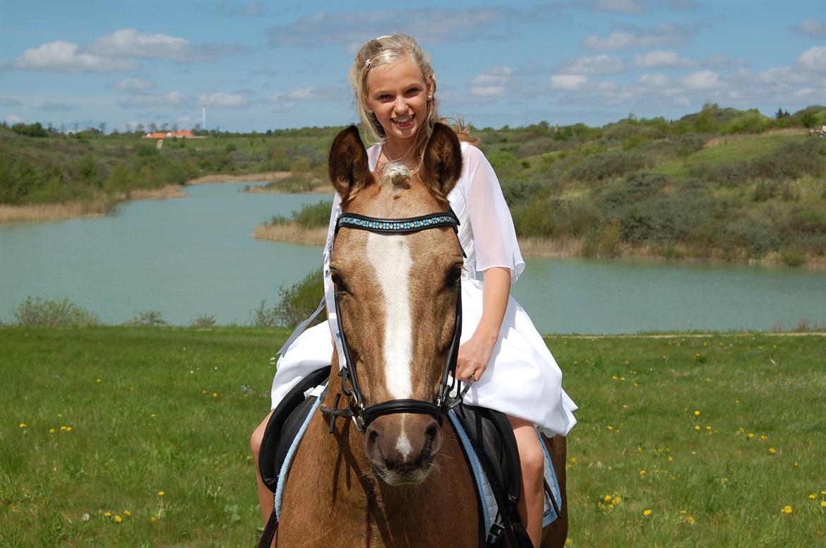 Anden særlig race Lucky Boy - Min konfirmation :) billede 2