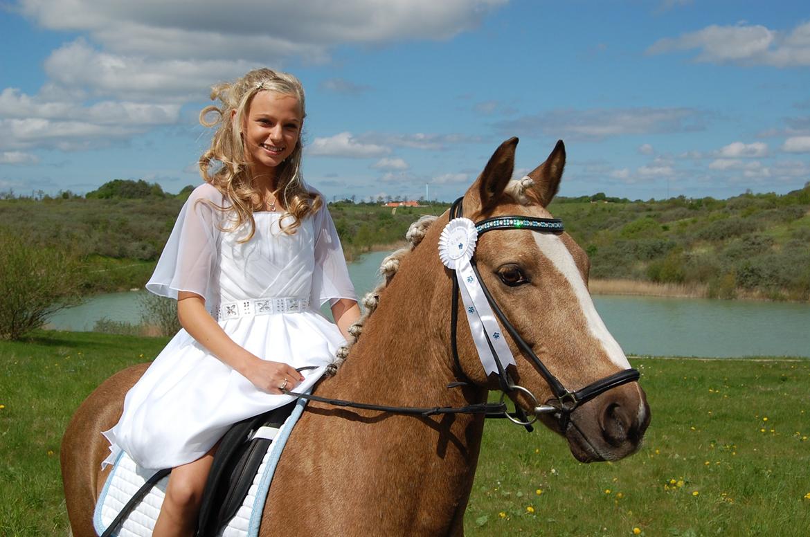 Anden særlig race Lucky Boy billede 1