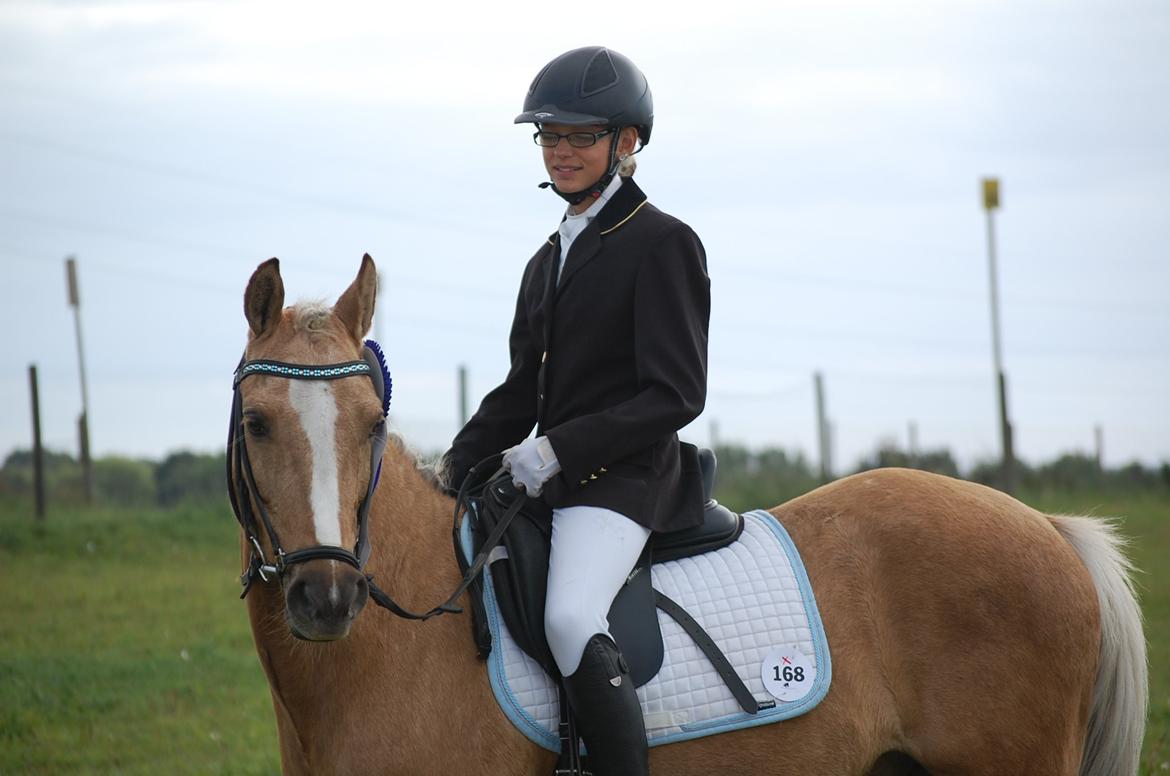 Anden særlig race Lucky Boy - 2. plads ude på stor heste dag i en Lb1 <3 billede 9