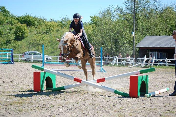 Anden særlig race Lucky Boy billede 3