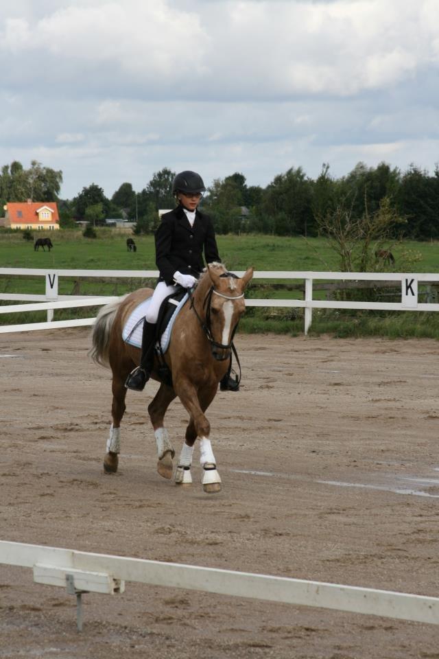 Anden særlig race Lucky Boy billede 10
