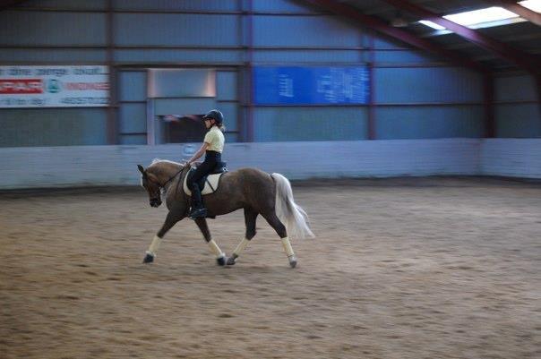 Anden særlig race Lucky Boy billede 11