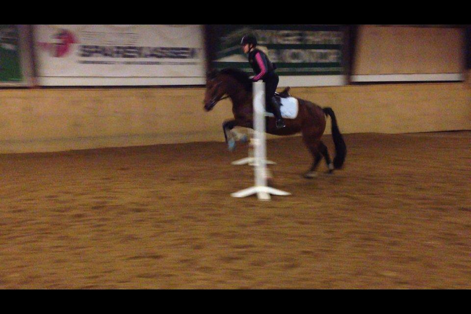 Anden særlig race Hope billede 19