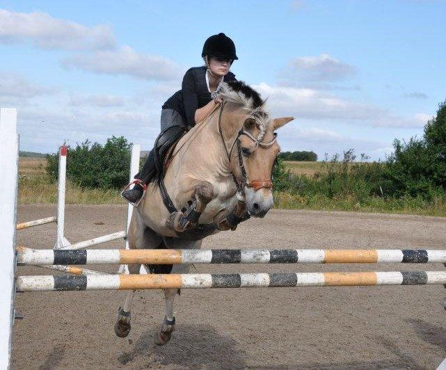 Anden særlig race Cognac billede 4