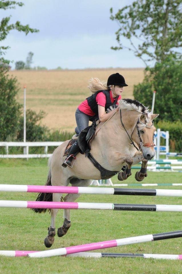 Anden særlig race Cognac billede 3