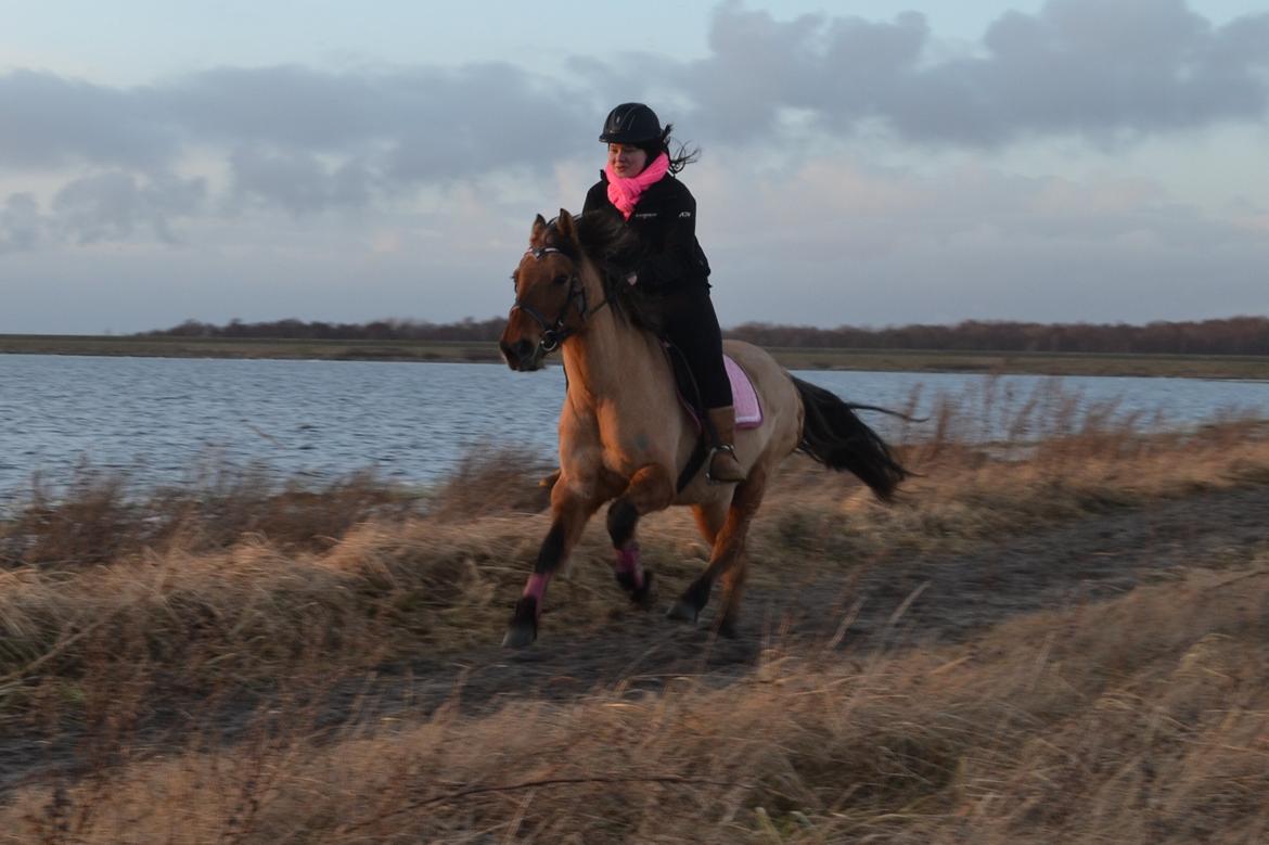 Anden særlig race lady<3 billede 11