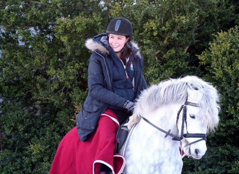 Welsh Pony (sec B) Nappemarkens Porsche billede 3