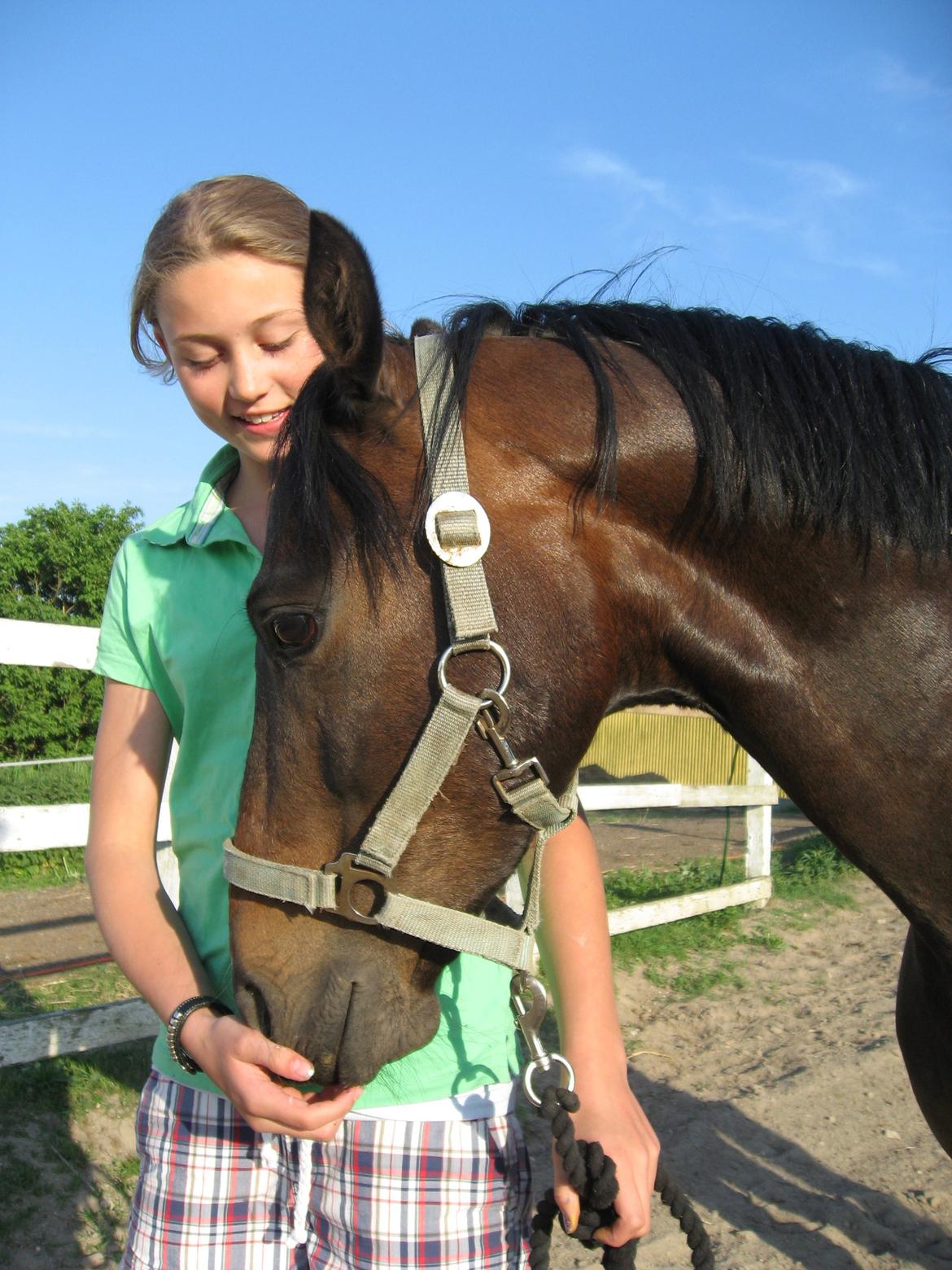 DSP Batman billede 11