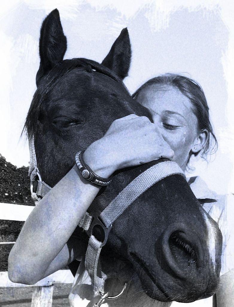 DSP Batman billede 12