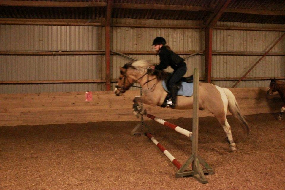 Anden særlig race Charming *Tidl. Part* - Spring d.31 januar 2013 :) billede 15