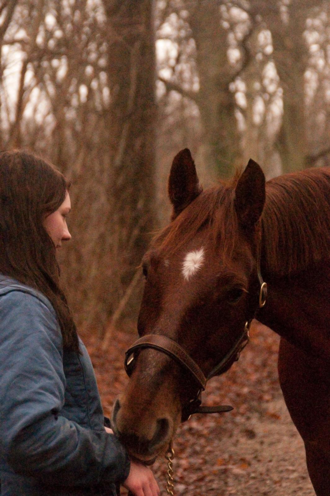 Anden særlig race Picasso <3 billede 4