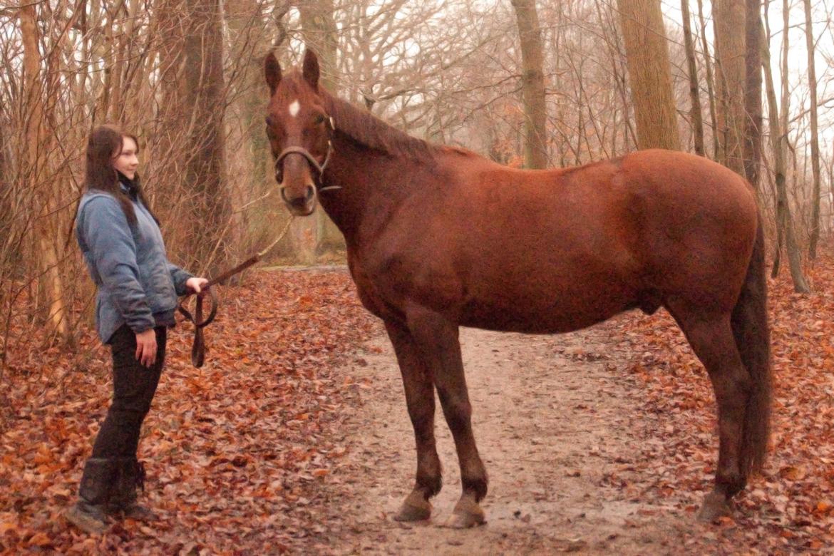 Anden særlig race Picasso <3 billede 5