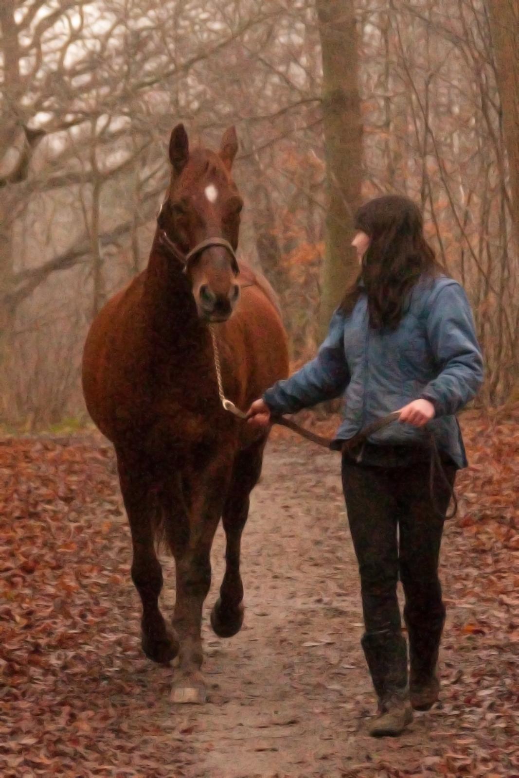 Anden særlig race Picasso <3 billede 7