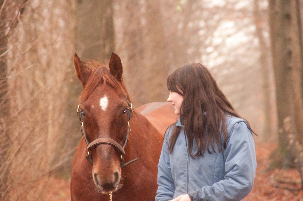 Anden særlig race Picasso <3 billede 8