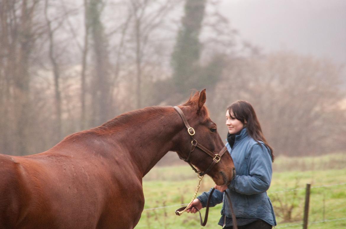 Anden særlig race Picasso <3 billede 11