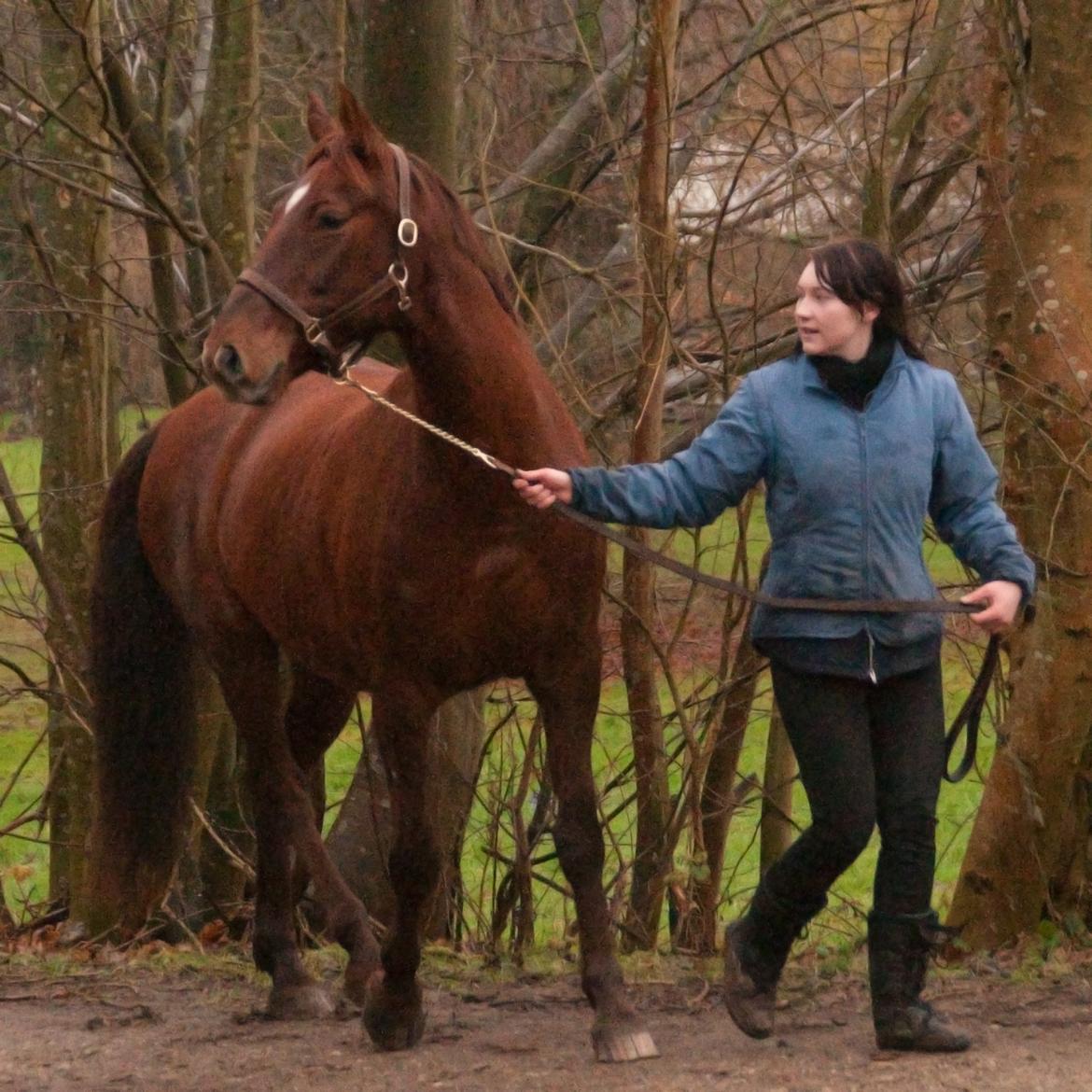 Anden særlig race Picasso <3 billede 10