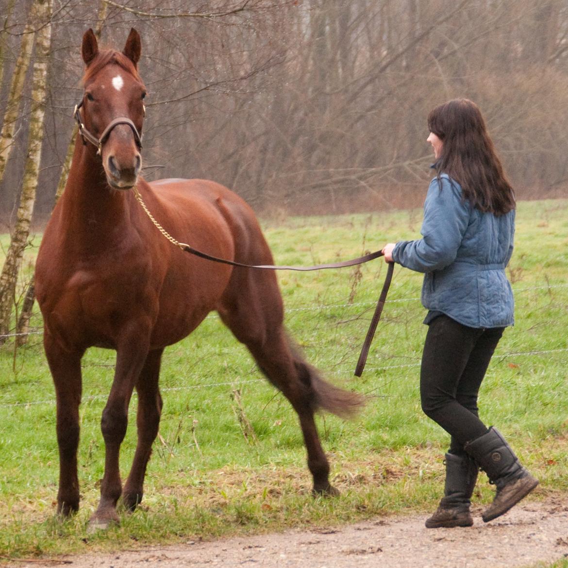 Anden særlig race Picasso <3 billede 12