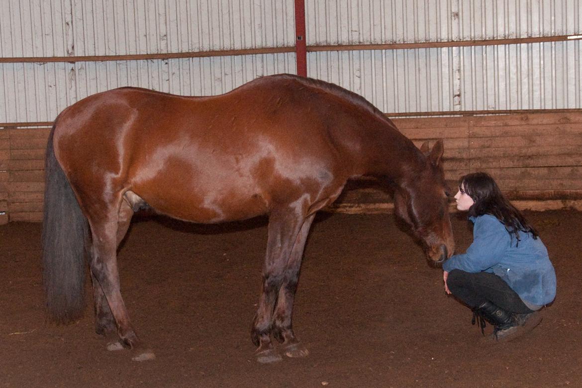 Anden særlig race Picasso <3 billede 19