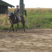 Anden særlig race SGS Ferrari