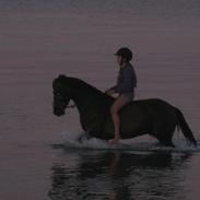 Anden særlig race SGS Ferrari