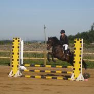 Anden særlig race SGS Ferrari