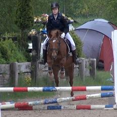 Anden særlig race Duncan