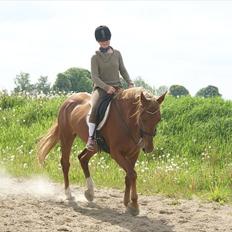 Anden særlig race Fiona (uforglemmelig <3) (solgt :(
