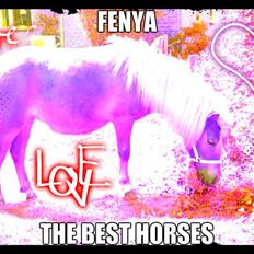 Anden særlig race Fenya