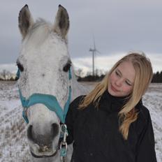 DSP Tino af Rosenholm