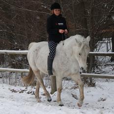 Anden særlig race Chiara