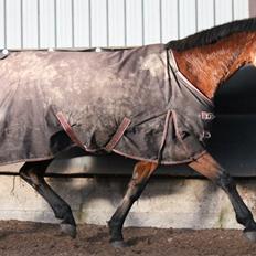 Anden særlig race Tasja