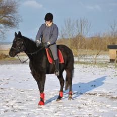 Traver Lucky Tail :)(aflivet 15-4-15)