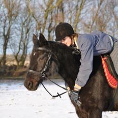 Traver Lucky Tail :)(aflivet 15-4-15)