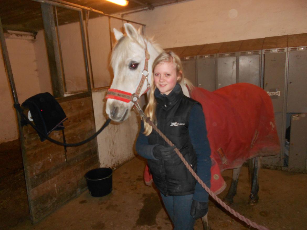 Anden særlig race Prins Grå<3 - Haha :-P billede 12