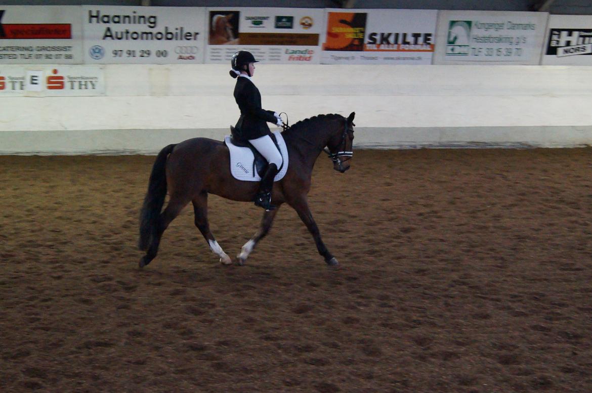 New Forest Ginnie - Til første stævne i 2o13 i Thisted :D
LB2 - 63,85% 
I love this pony! 
Fotograf - Karina billede 13