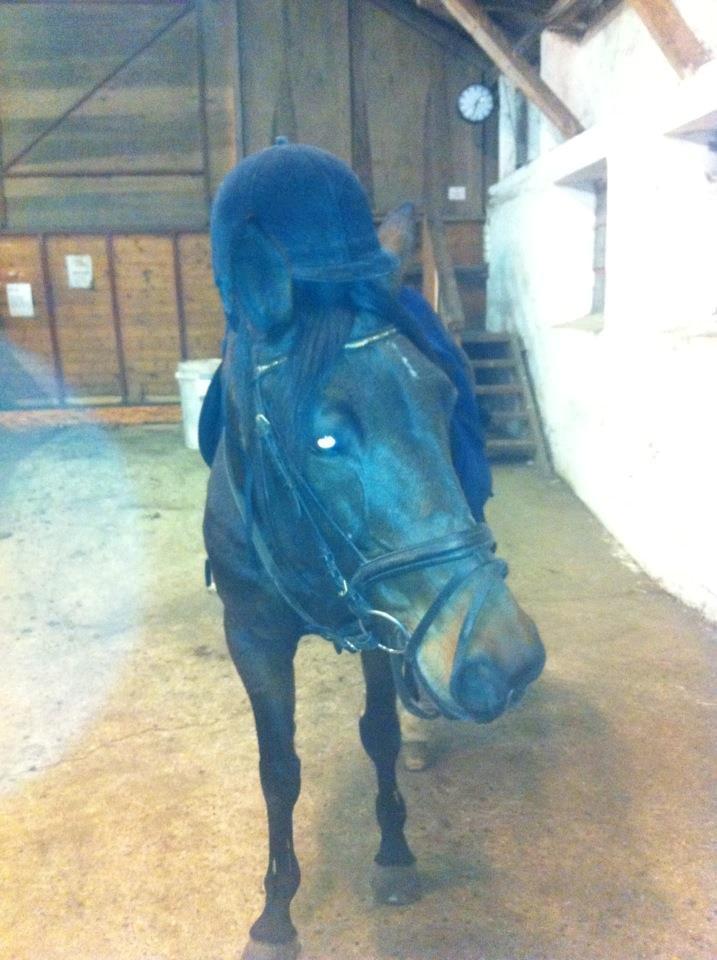 Anden særlig race prinsessé Nikita min baby <3 billede 7