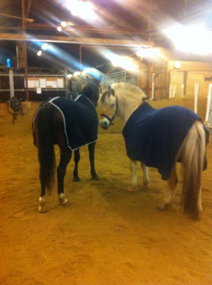 Anden særlig race prinsessé Nikita min baby <3 billede 9