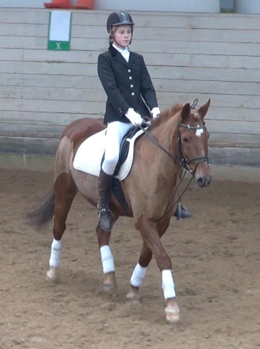 Anden særlig race Duncan - dressur LC3 hvor jeg vandt ;) billede 14