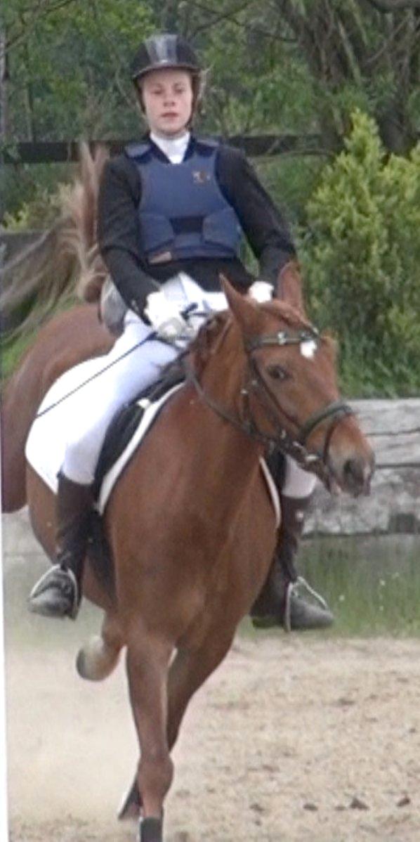 Anden særlig race Duncan - hehe et lille bukkespring til et stævne :) ponz du er sgu for kæk 
 billede 15