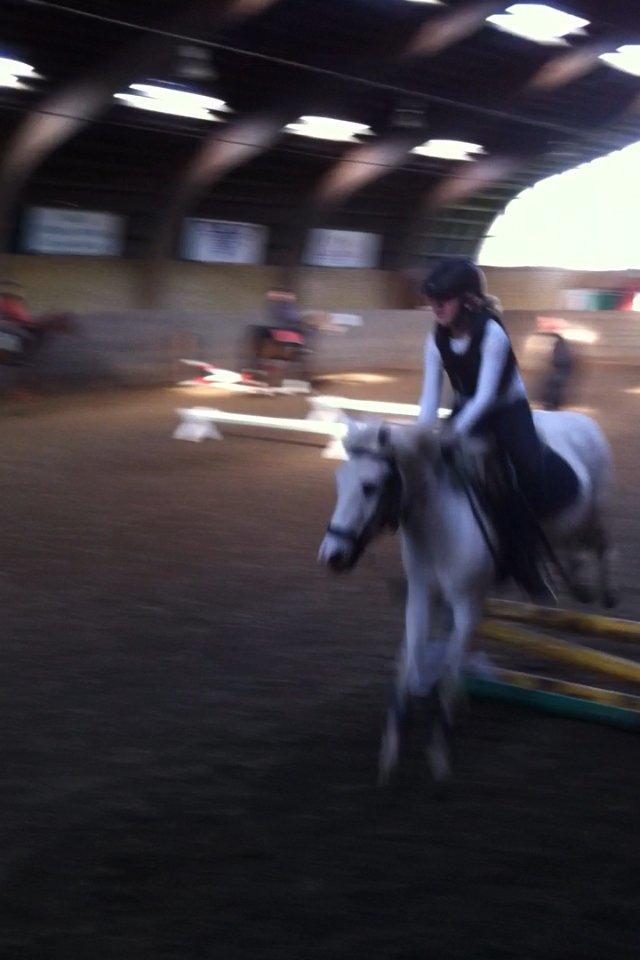 Anden særlig race Tarzan PART (elevpony) - Fint spring..<3
 billede 18