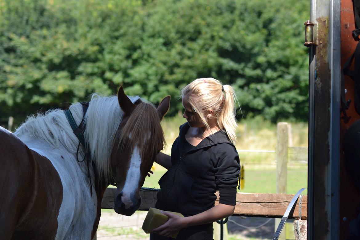 Pinto Blade - Første gang jeg prøvede ham <3<3 billede 5