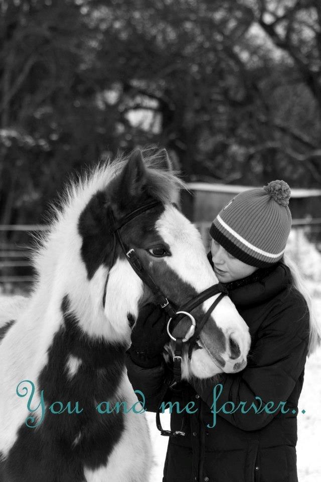 Pinto Estrella Jaki - You and me forever Jaki<3 billede 13