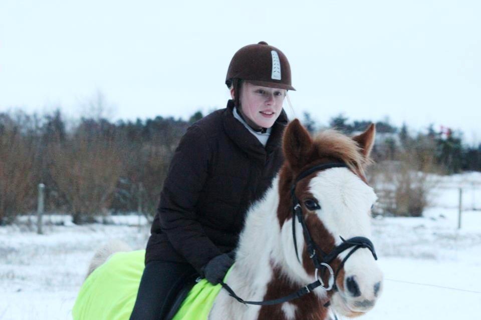 Pinto Estrella Jaki - Galop! billede 8