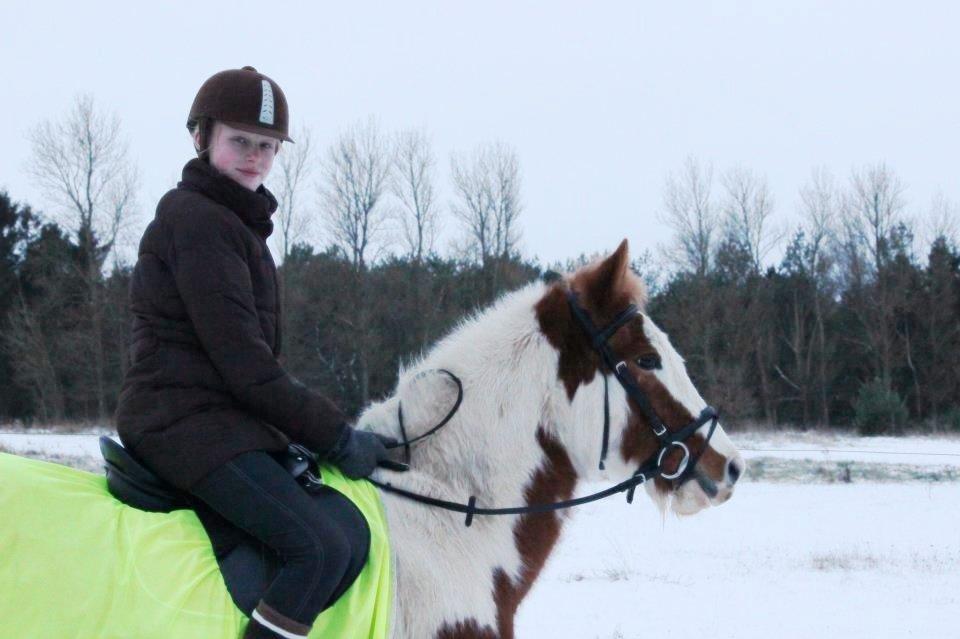 Pinto Estrella Jaki - På tur!:D billede 4