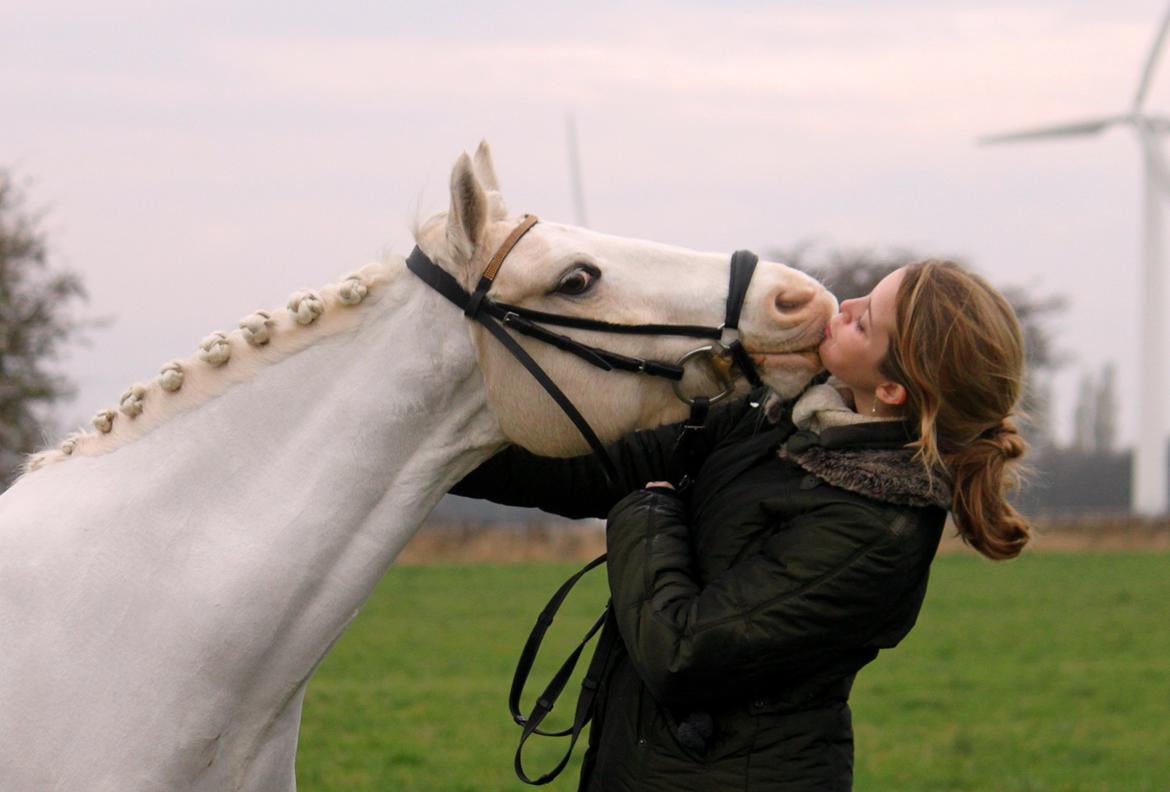 Welsh Pony af Cob-type (sec C) Rosengårdens Nakuma - 11# Nakuma og jeg - dagen før hun solgt. Hun er savnet! D. 10/11-12. Foto: Louise billede 11
