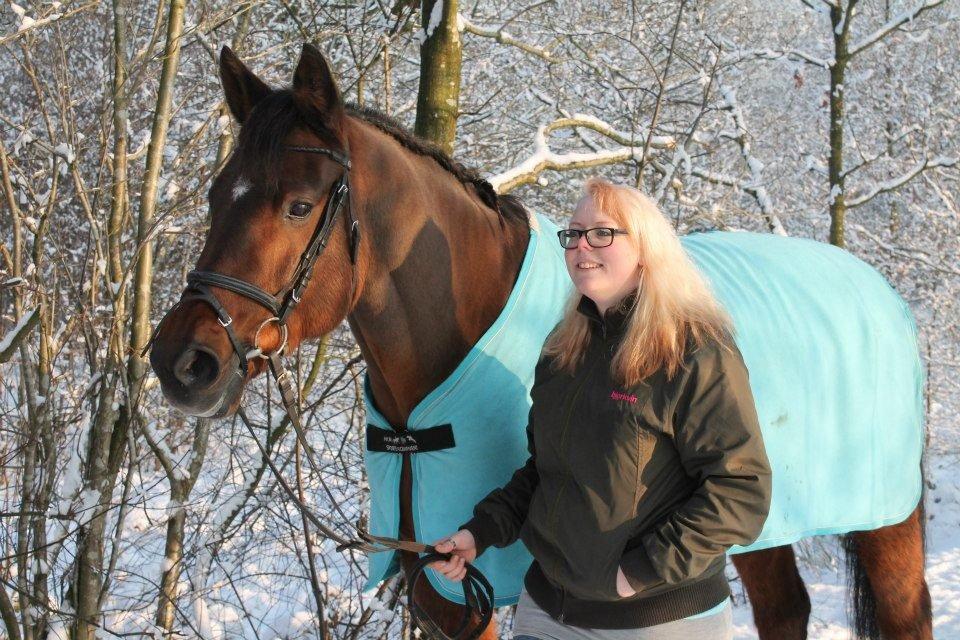 Dansk Varmblod lafayette billede 12