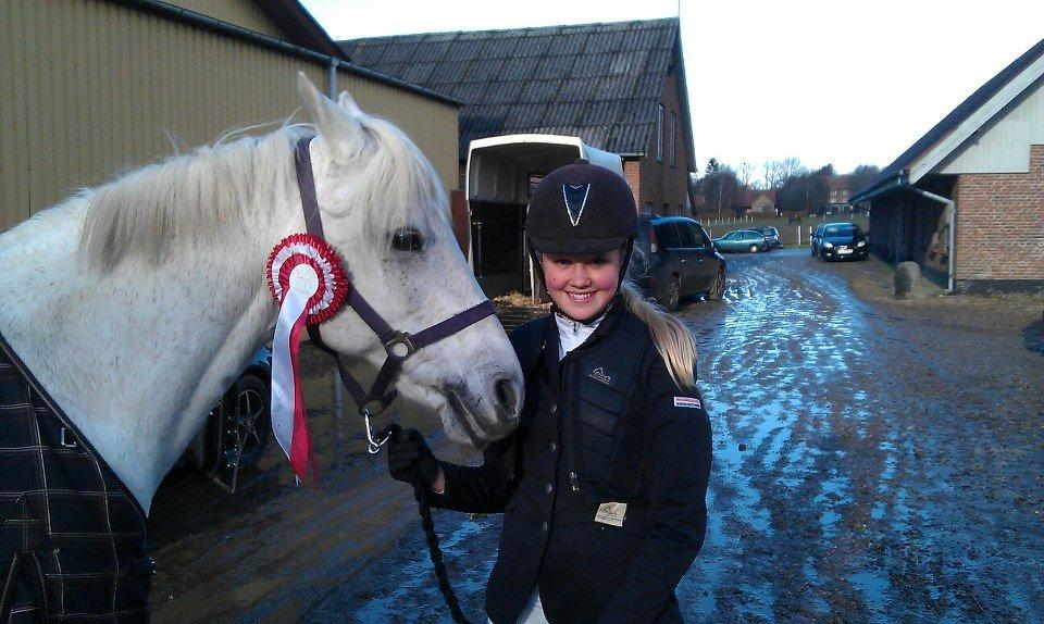 Anden særlig race Wendy * B-pony * - LD 1 plads i Hammerum!<3 billede 7