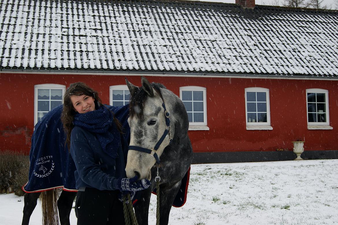 Dansk Varmblod Amona - VELKOMMEN TIL AMONA´S PROFIL!
Amona og jeg vinter 2013! <3  billede 1