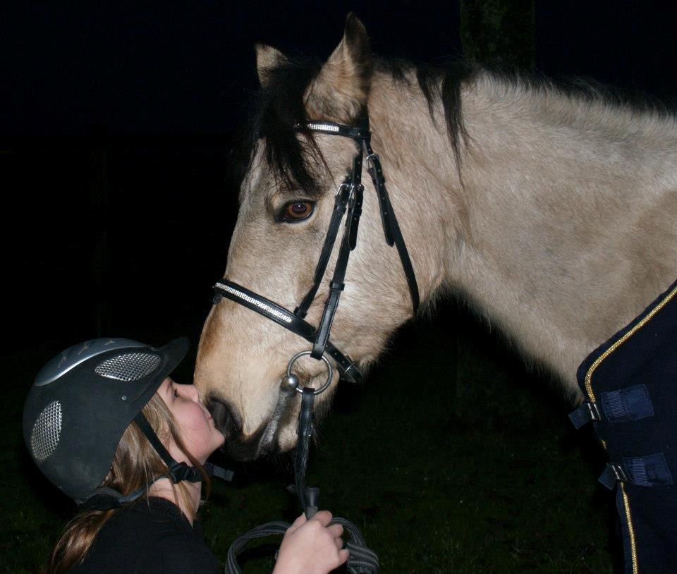 Anden særlig race Digelsgaardens Ginger(My little Girl)<3 <3 - Du kan ikke beskrives <3
Taget af Nanna Christiansen <3 billede 16