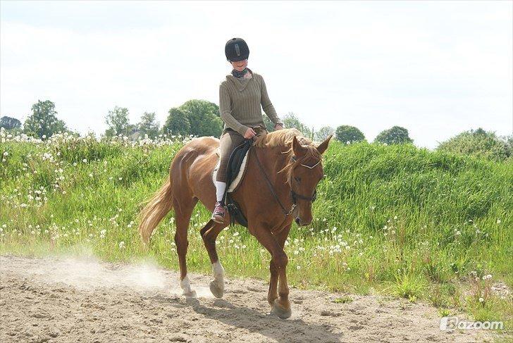 Anden særlig race Fiona (uforglemmelig <3) (solgt :( billede 2